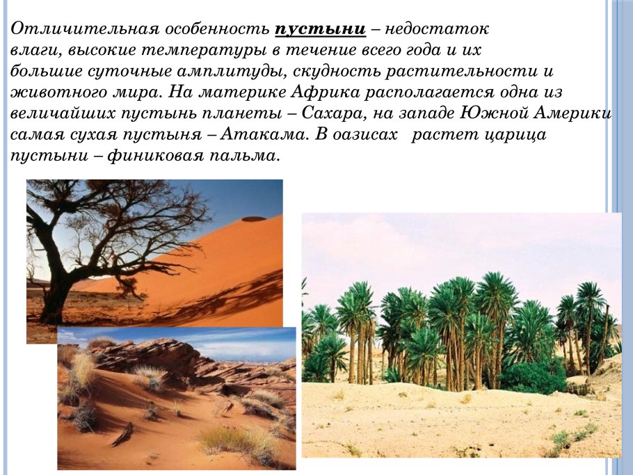 Лес колчанных деревьев Намибия