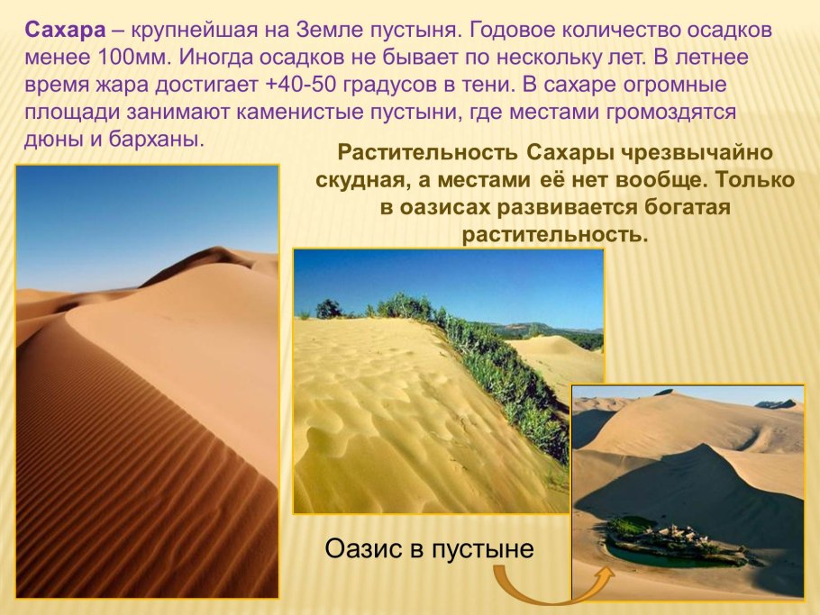 Вельви́чия удиви́тельная (Welwítschia Mirábilis)