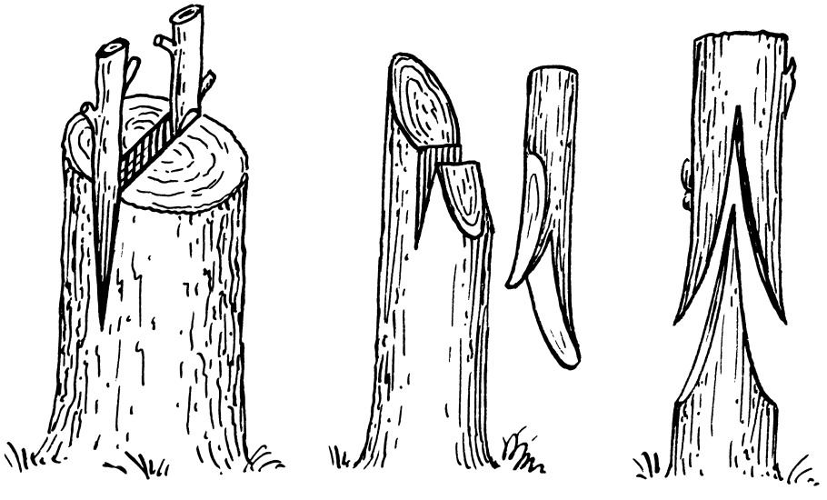 Утюг Rowenta dw5210f1