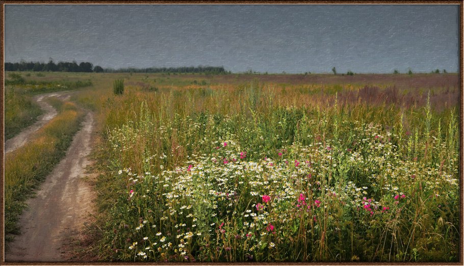 Прострел растение Хакасии