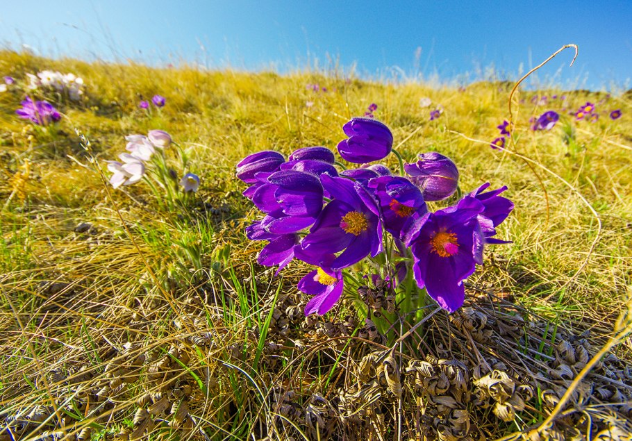 Бескрайние казахские степи Актобе