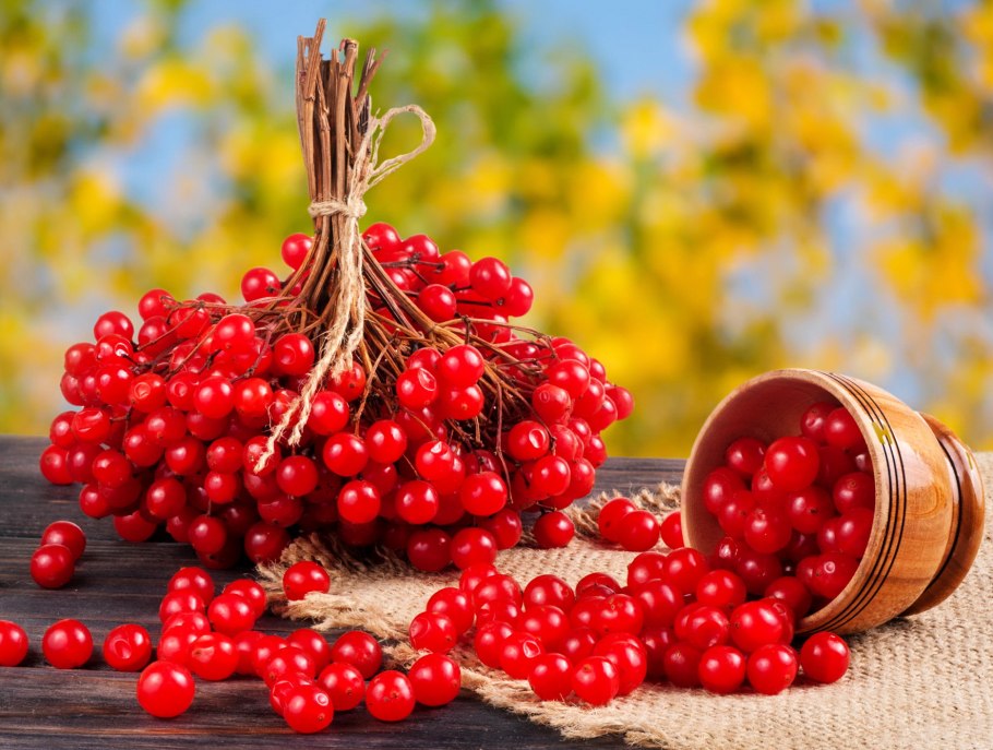 Калина брусника мед
