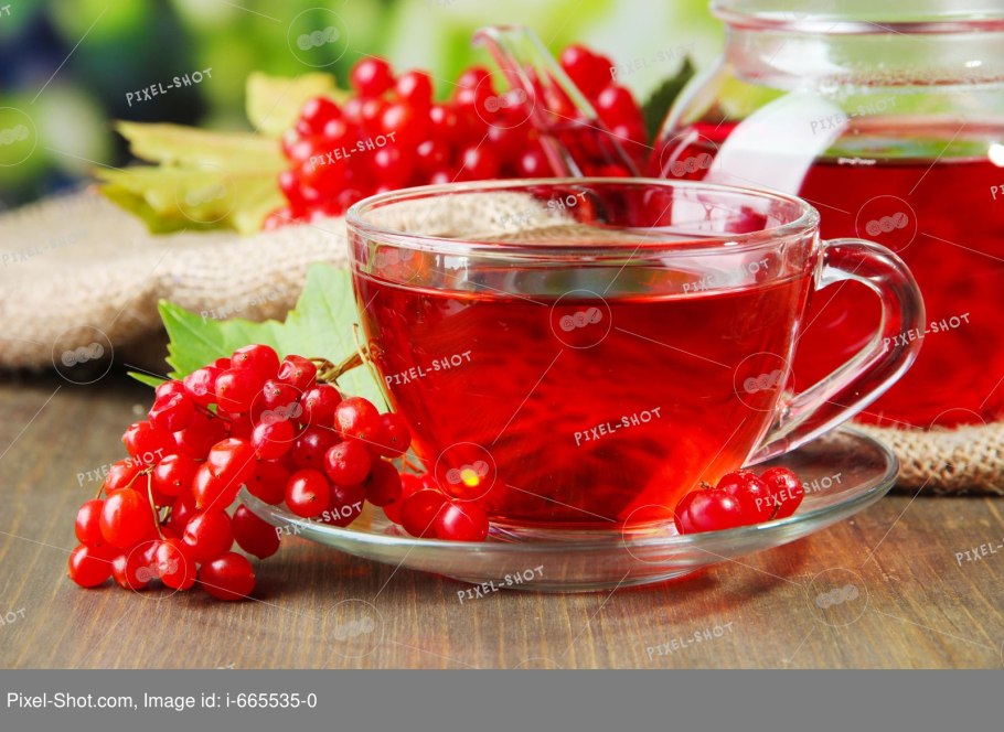 Калина настой