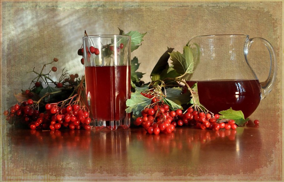 Калина обыкновеннаялитья