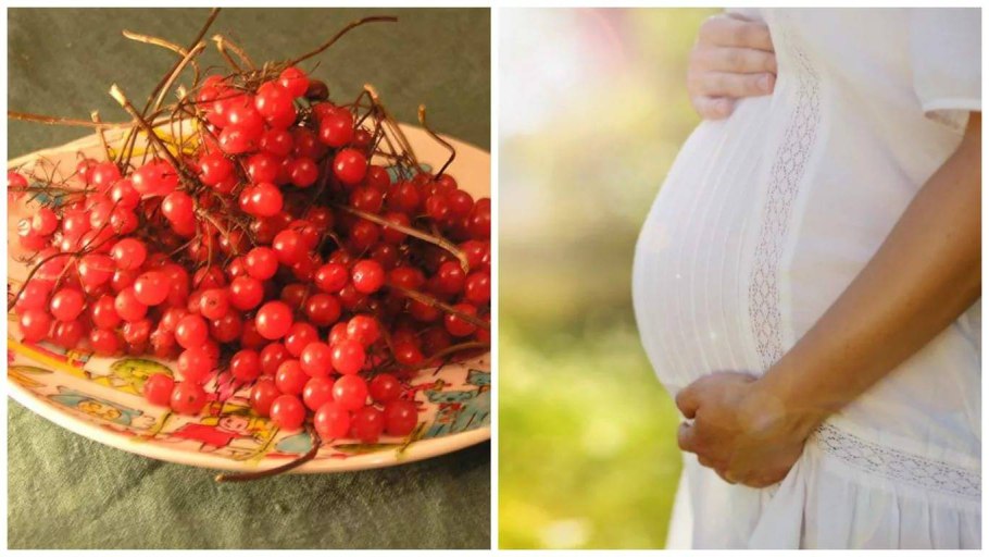 Брусника обыкновенная ЛРС