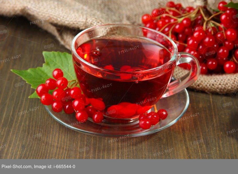 Рябина Сибирская лекарственное сырье