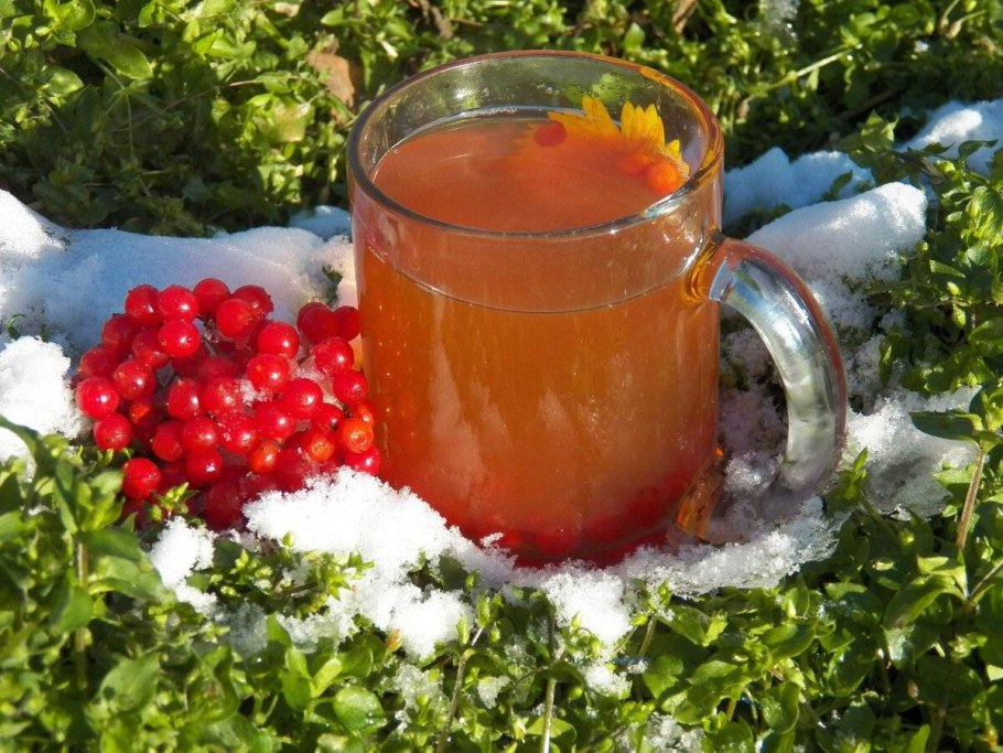 Настойка калины