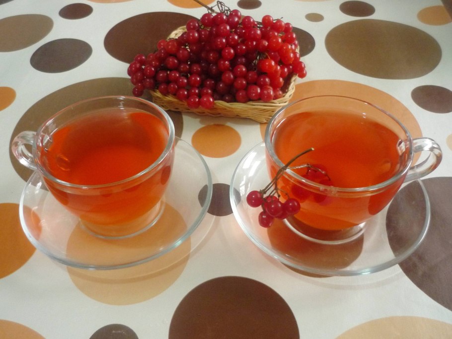 Калина настой