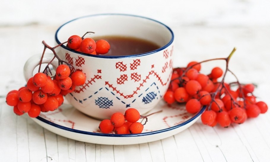 Калина красная компот