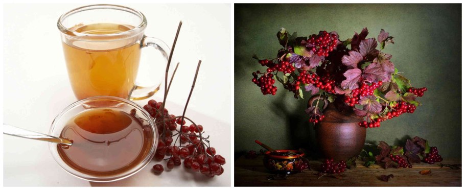 Брусника сушеная ягода 100 г