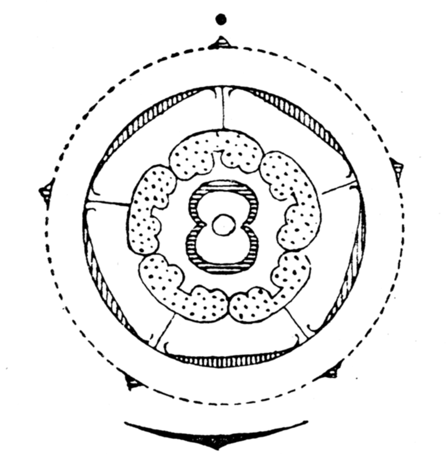 Диаграмма семейства мотыльковых