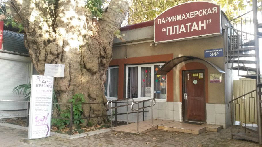 Платан Симферополь