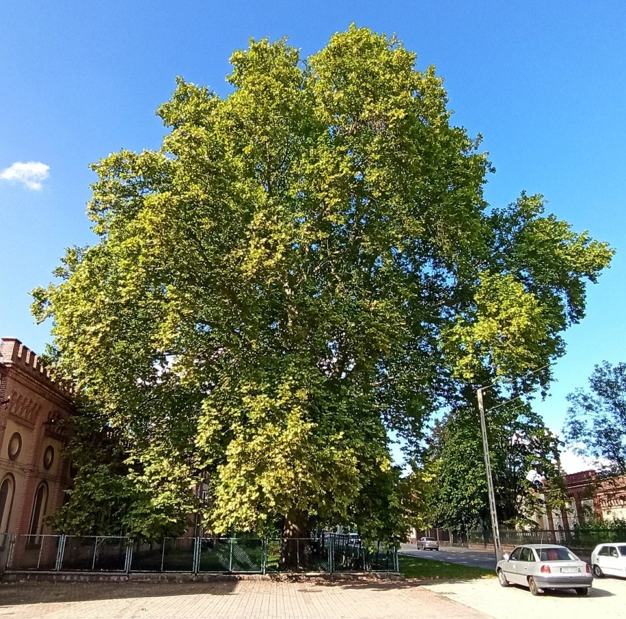 Фитнес клуб Жулебино