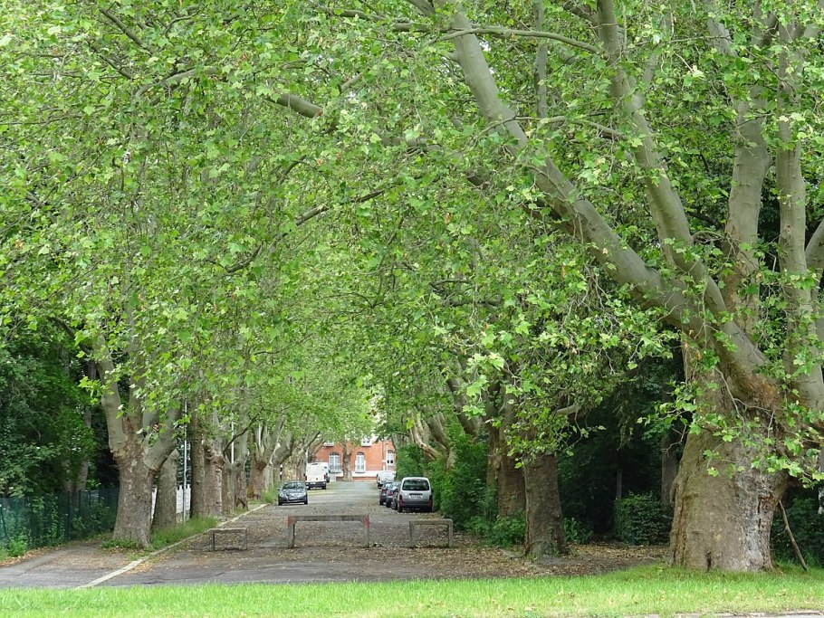 Большой выбор обоев