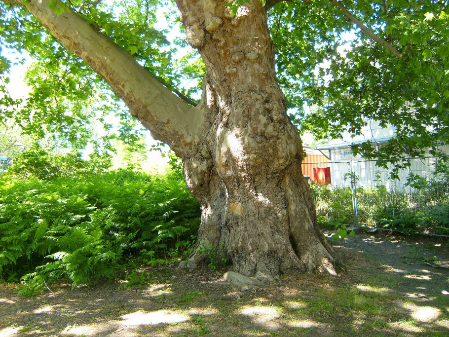 Настоящий мясной магазин