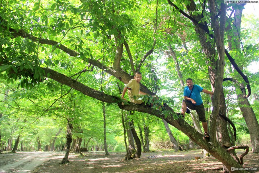 Аллея художников Геленджик