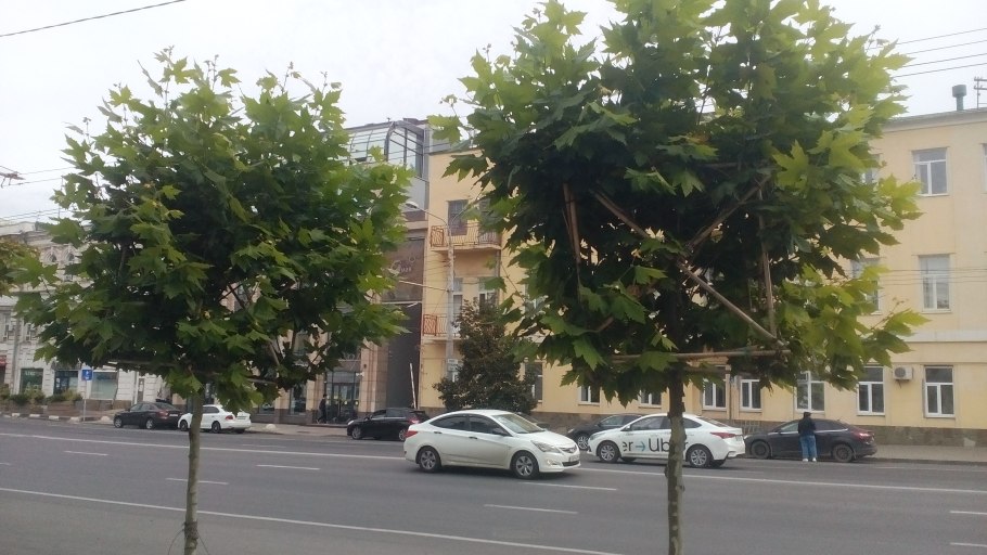 Киров парк дружбы