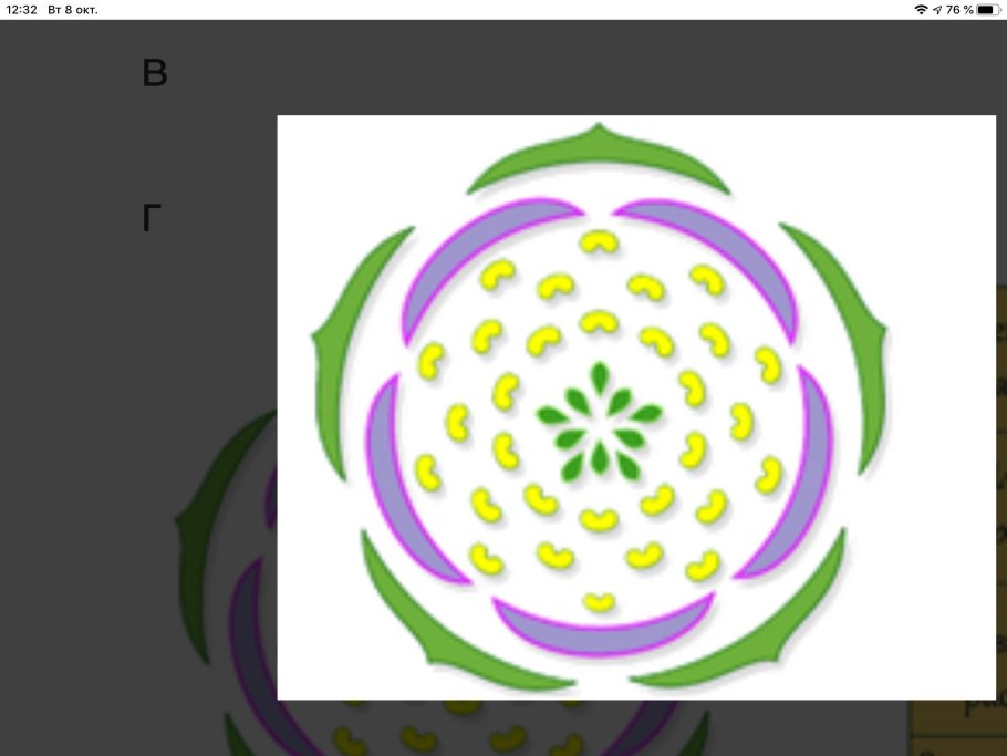 Формула и диаграмма цветка подсолнечник