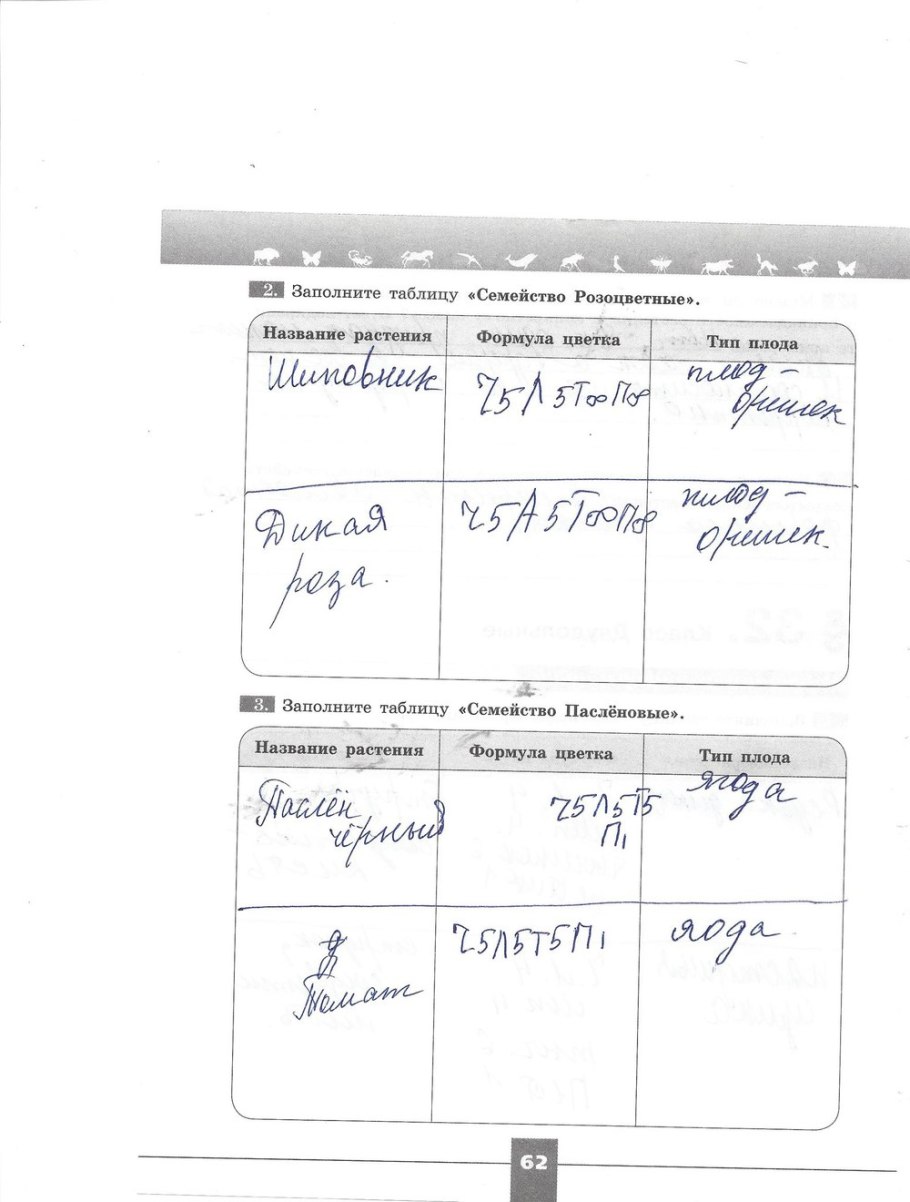 Гдз по биологии 7 класс пасечник