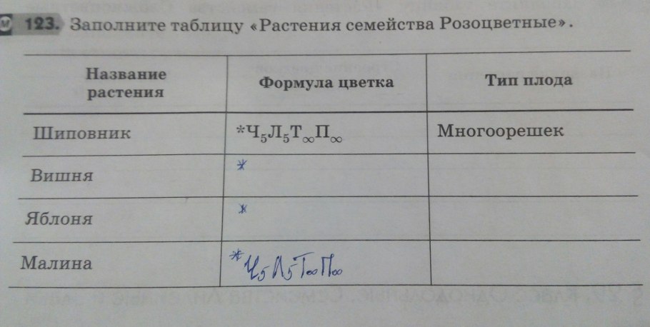 Груша цветок ботаника