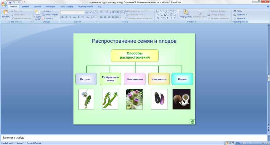 Размножение растений рисунок