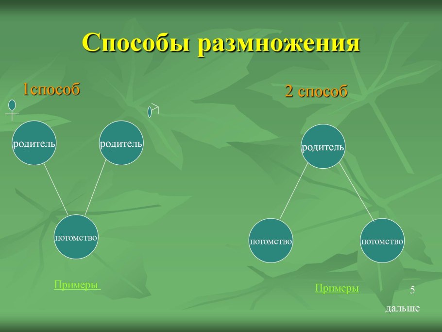 Схема микроклонального размножения растений