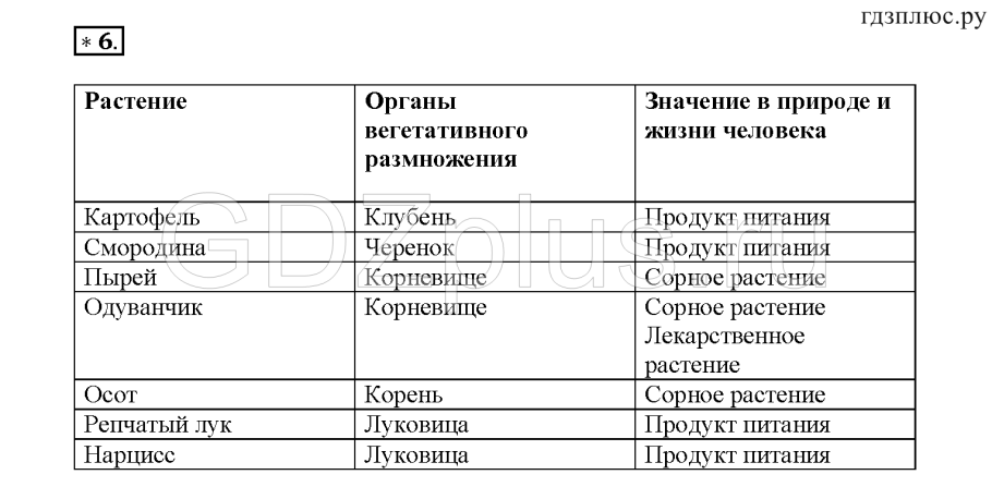 Вегетативное размножение растений таблица 6 класс биология