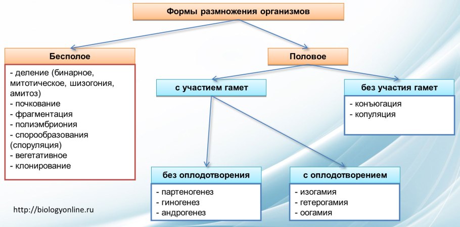 Привой растений