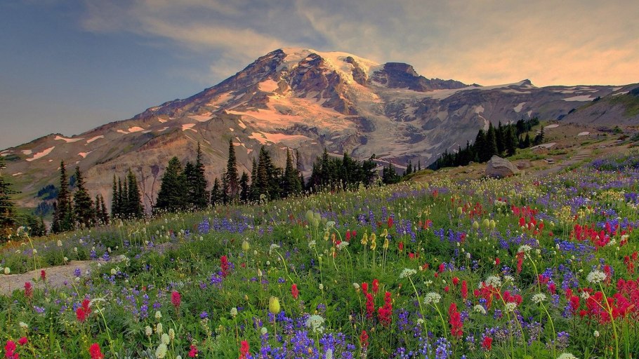 Каратауский заповедник фауна