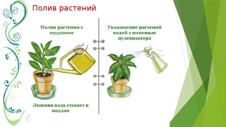 Стикеры растения