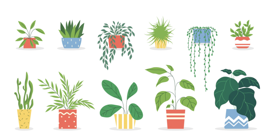 Цветок ikea Fejka