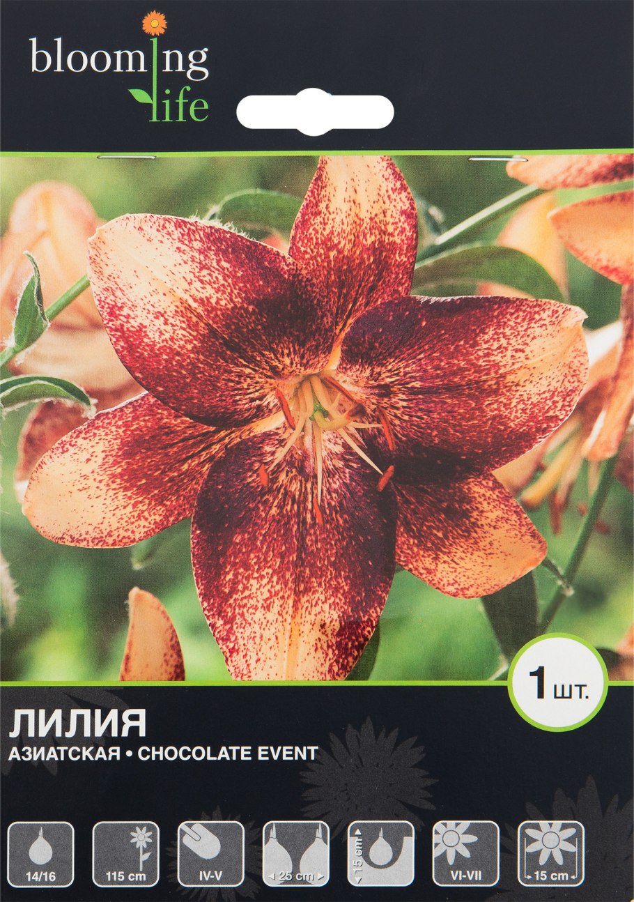 Лилия Netty's Pride