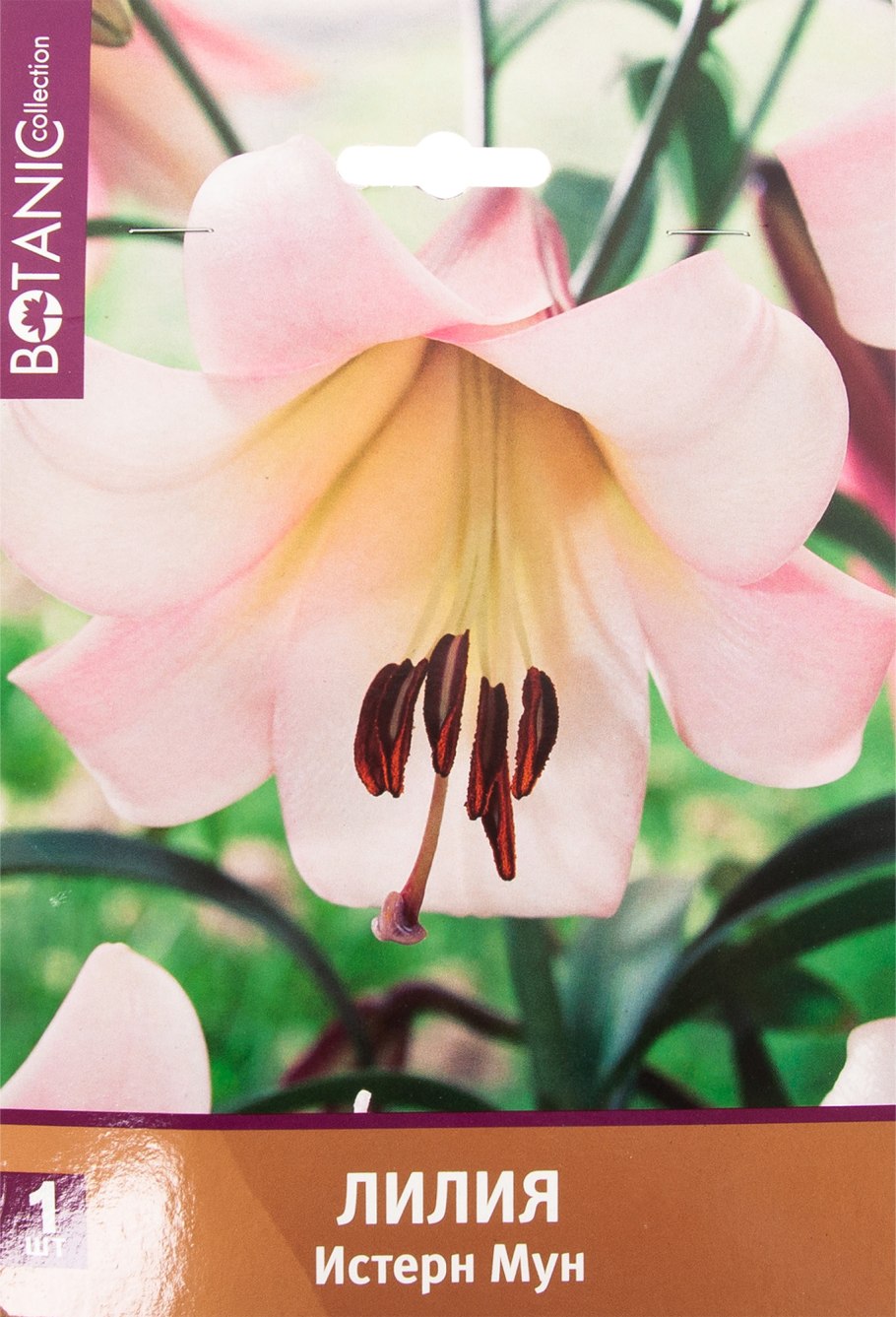 Кассиопея ЛОЛ Spirit Blossom