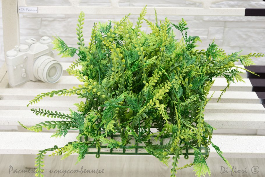 Вудсия Альпийская