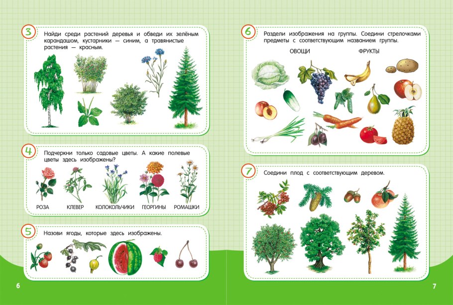 Растения. Плакат
