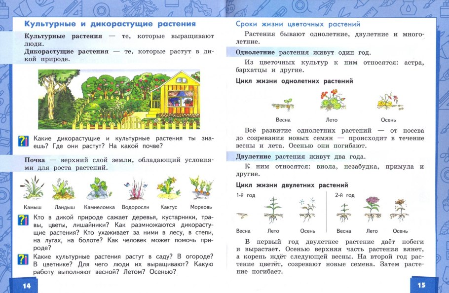 Дидактическая игра четвертый лишний