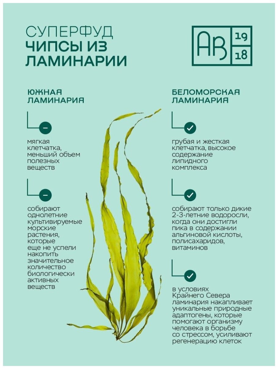 Келп бурая водоросль