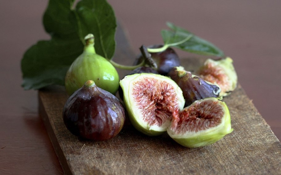 Инжир колхидский