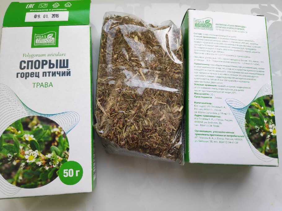 Горец спорыш семена газон