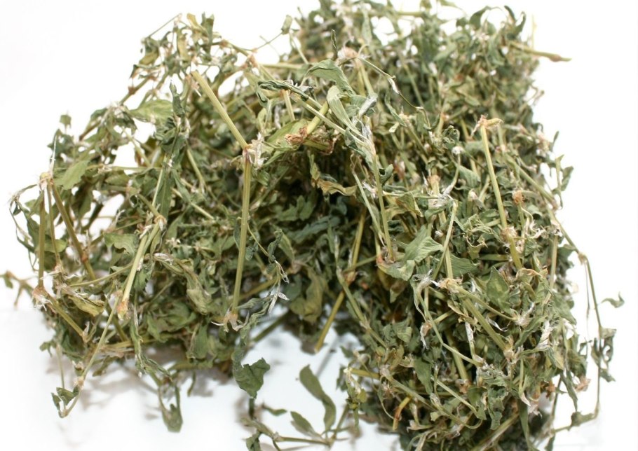 Горец птичий спорыш