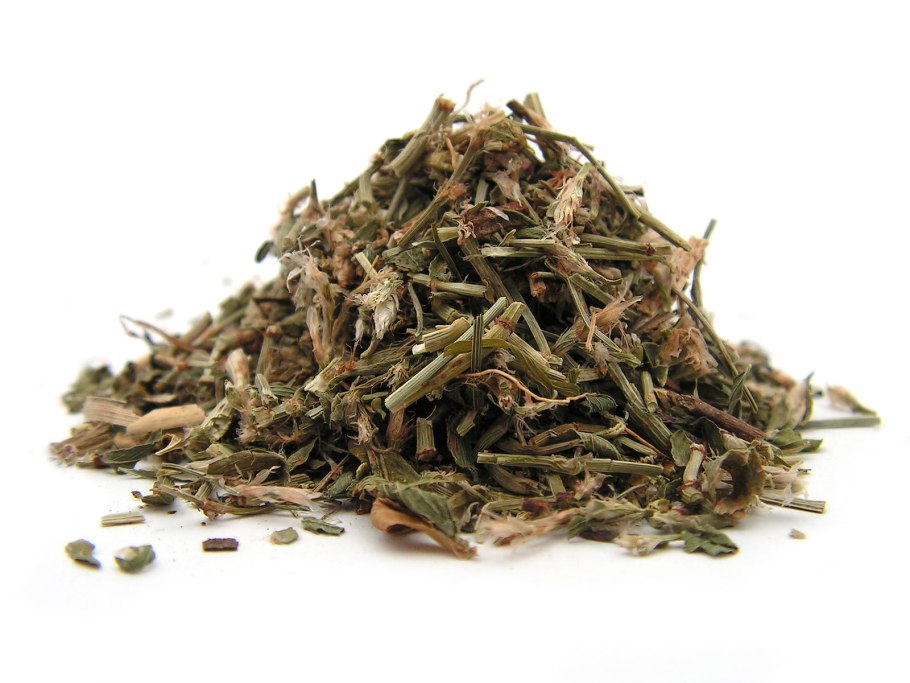 Спорыш трава