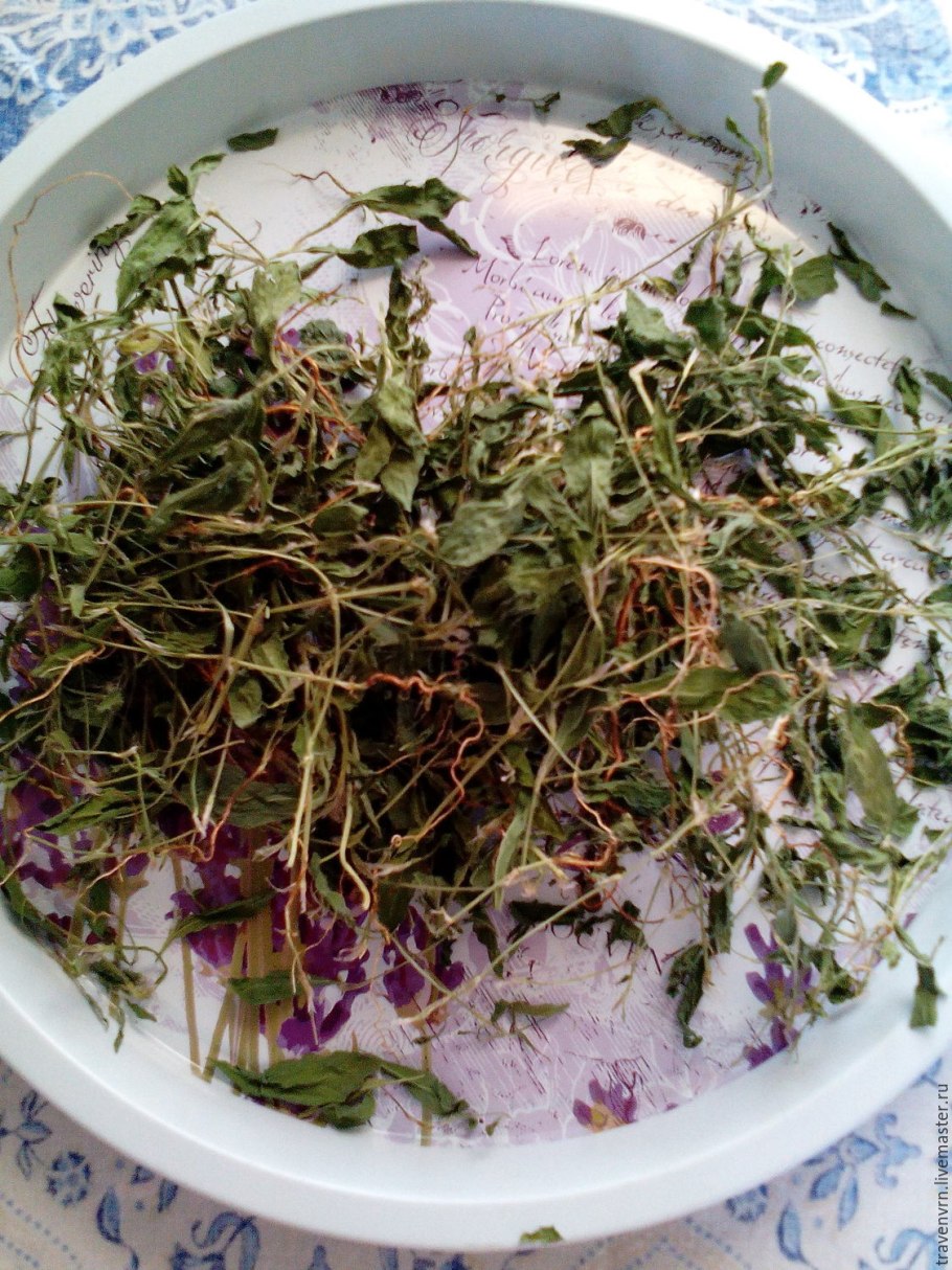 Горец птичий спорыш