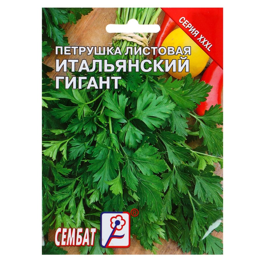 Петрушка сорта листовая