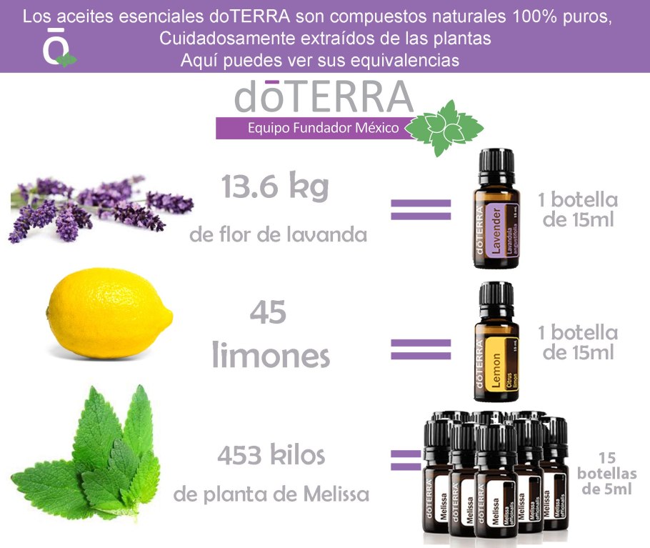 Мелисса эфирное масло DOTERRA