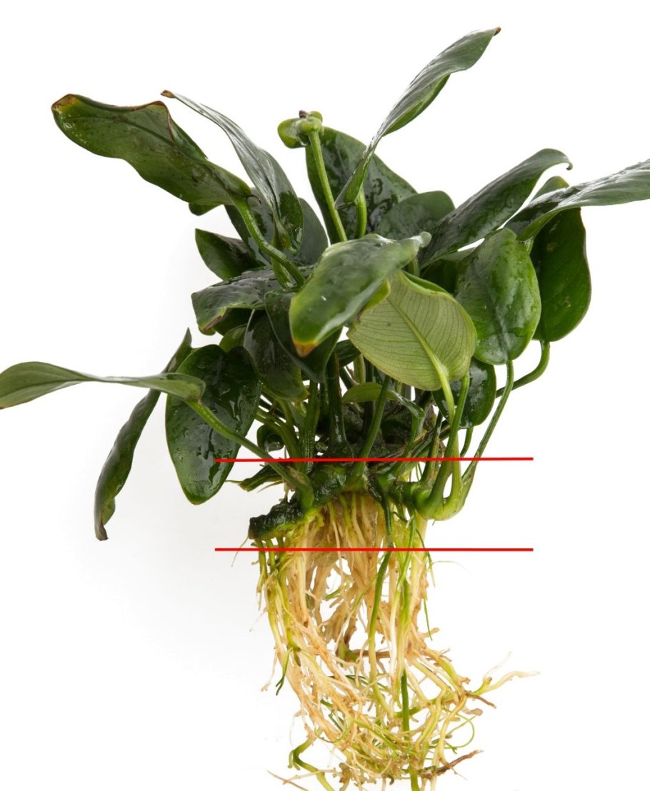 5320-1602512 Цилиндр сцепления главный КАМАЗ