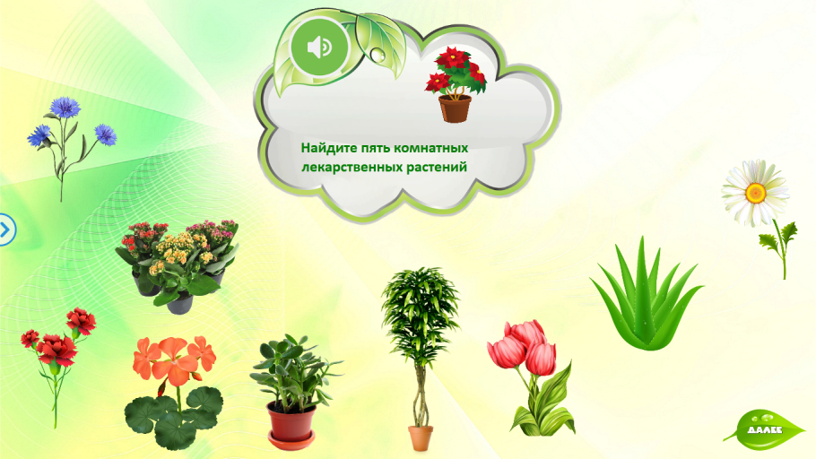 Растения для дошкольников