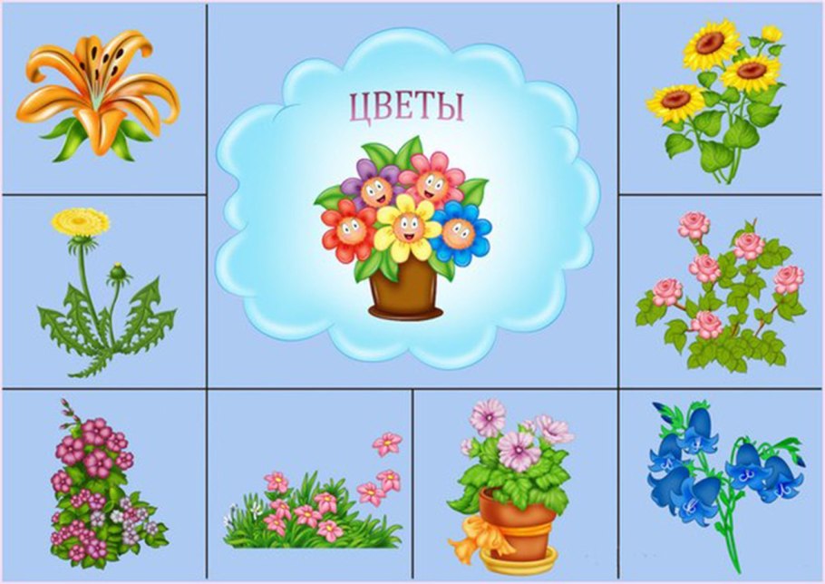 Карточки для цветов