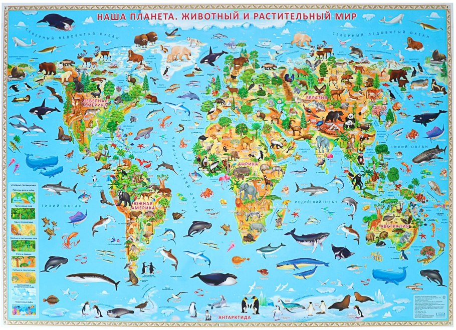 Карта мира для детей "животный и растительный мир земли" 101х69