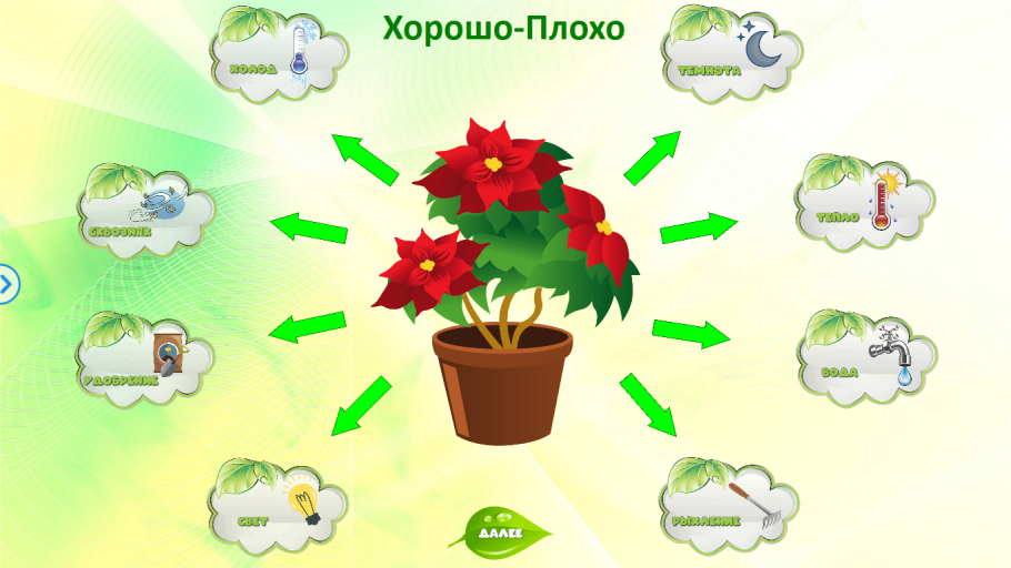 Комнатные растения задания