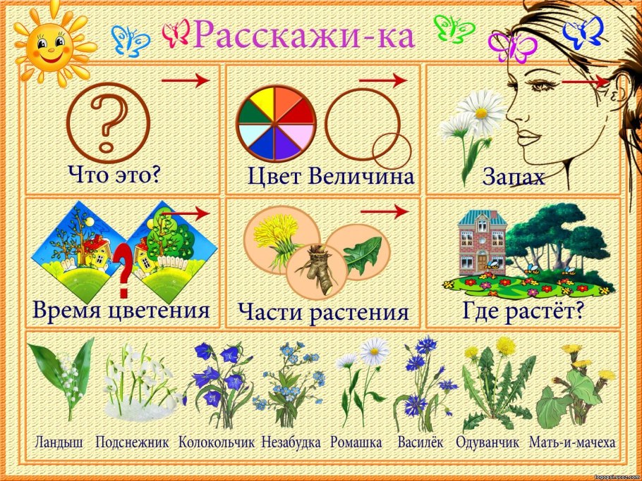 Схемы описательных рассказов для дошкольников